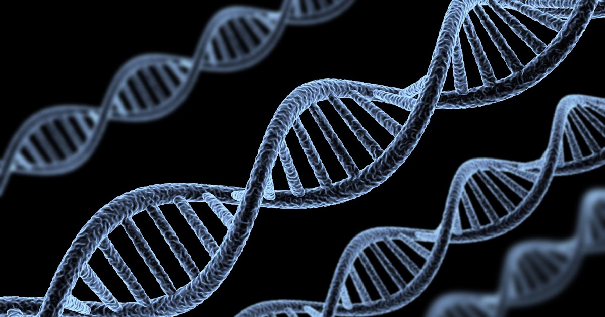 LA CLONACION.. COMO SE CLONAN LOS GENES?