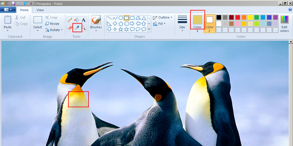 Getting Color Codes from the Images Using MS Paint