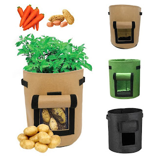 potato garden