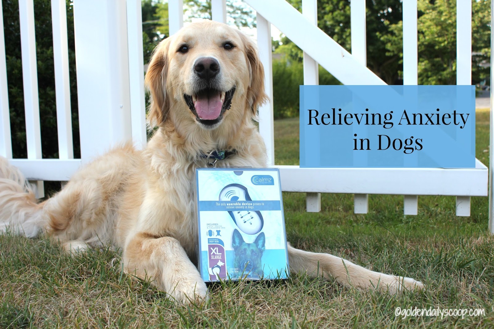 puppy relief calm anxiety relief system for dogs puppy relief calm anxiety relief system for dogs