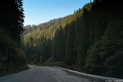 Transalpina (DN 67C) Transalpina (DN 67C)