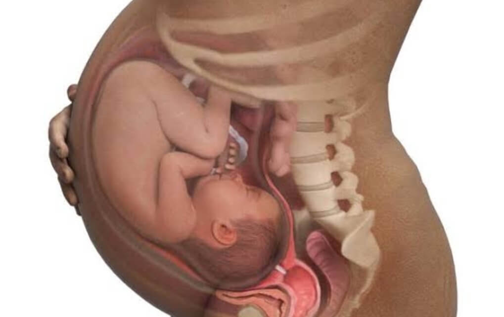 Kondisi Ibu Dan Janin Dalam Kandungan Di Penghujung Kehamilan Kondisi Ibu Dan Janin Dalam Kandungan Di Penghujung Kehamilan Kondisi Ibu Dan Janin Dalam Kandungan Di Penghujung Kehamilan