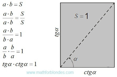 First option of the unit area First option of the unit area. Mathematics For Blondes.