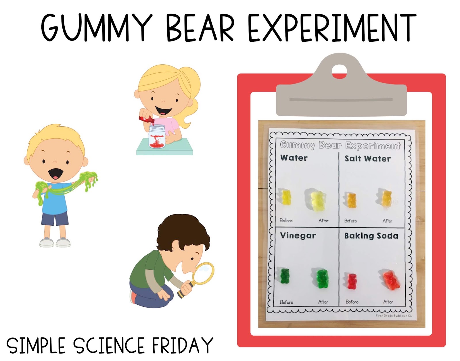 Printable Gummy Bear Experiment Worksheet