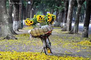 HANOI - CITYTOUR