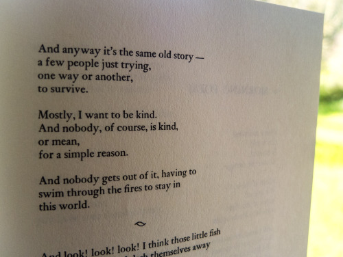 Page with Mary Oliver poem Dogfish