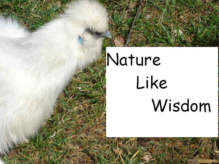 Nature Like Wisdom