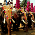 Kerala Elephants Fans Whatsapp Group Links Collection