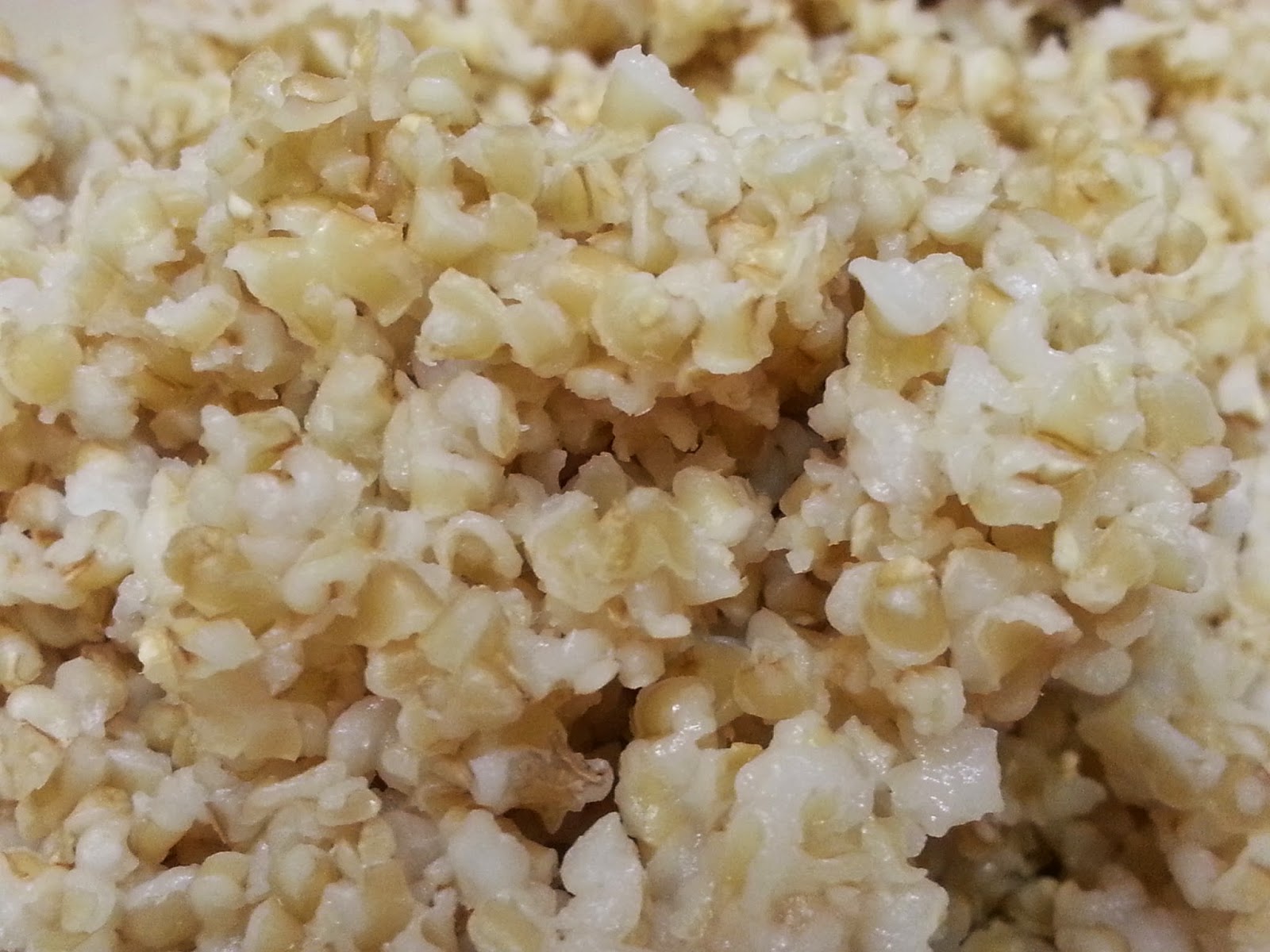 Pat's Kitchen Journal Kibbled Wheat Bread (healthy version)