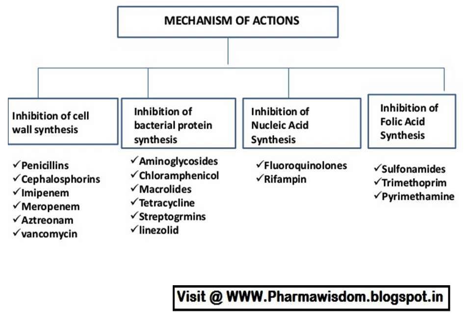 Mechanism of Action of Chemotherapeutic drugs - PHARMA WISDOM
