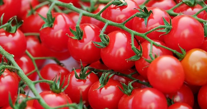 Beauty Tips- Tomatoes For Healthy Hair