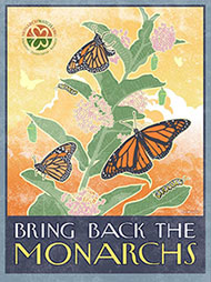 More Milkweed = More Monarchs!
