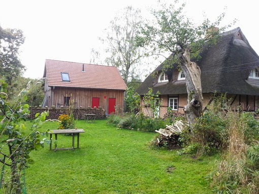 Blick auf den renovierten Schuppen und die Reetdachkate