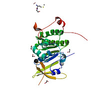 A visualization of the BRCA2 gene mutation