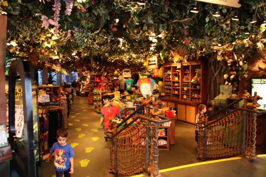 Rainforest cafe ( San Francisco)