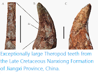 http://sciencythoughts.blogspot.co.uk/2015/02/exceptionally-large-theropod-teeth-from.html