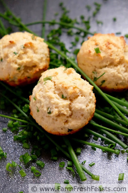 Creamy ricotta cheese and fresh chives are the highlight of these savory muffins. Adding potato flakes to the batter, and using bacon grease takes the flavor of this quick bread over the top.