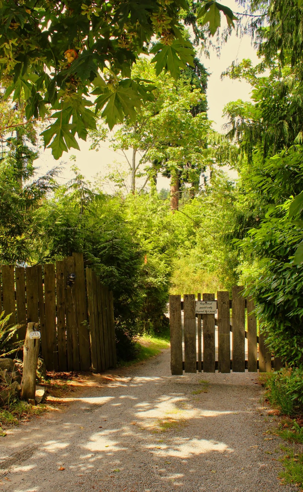 The Murray Chronicles Lakeside Gardens Resort on Salt Spring Island The gate and more...