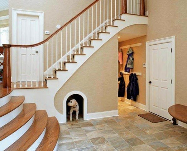 20 cool gift ideas for dogs