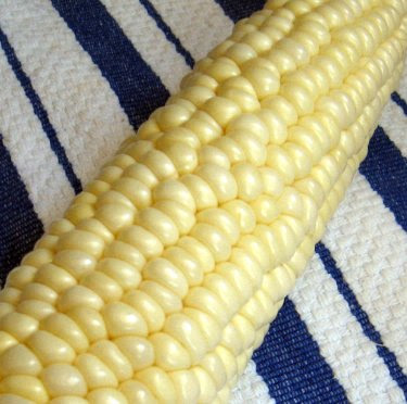 fresh farmer's market corn