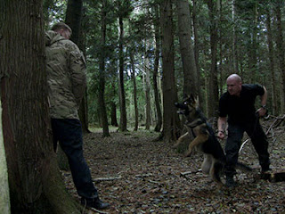 Dog handler pulling on a dogs lead to hold the dog back from attacking a man backed onto a tree in a wood.