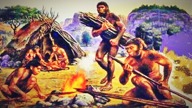 Manusia Purba Homo Sapiens Di Indonesia Beserta Ciri-Cirinya - Amazing