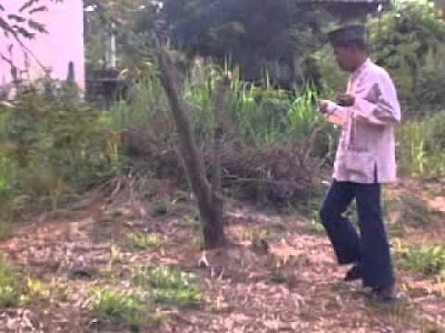 80+ Gambar Air Bawah Tanah Terlihat Keren 80+ Gambar Air Bawah Tanah Terlihat Keren
