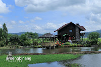 roong tondano