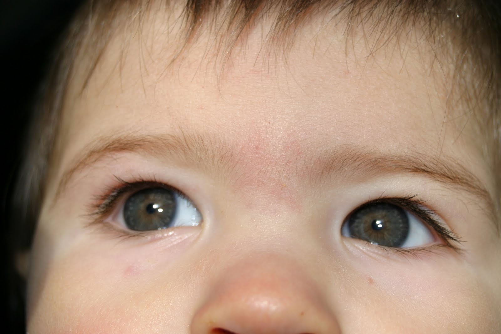 Scrappin' my Stash Baby Brown Eyes