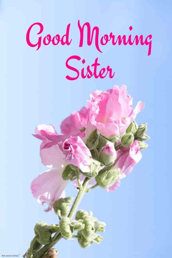 good-morning-little-sister good morning little sister