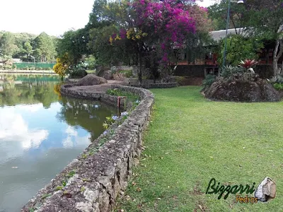 Banco de pedra no jardim. Execução dos bancos de pedra com o muro de pedra rústica, tipo muro de pedra duas faces, que fica 45 cm para fora do gramado formando um banco de pedra em toda a extensão do jardim. Em alguma parte do banco de pedra o piso com grama e em outra parte o piso com pedra cacão de São Carlos, sendo o banco de pedra em volta do lago.