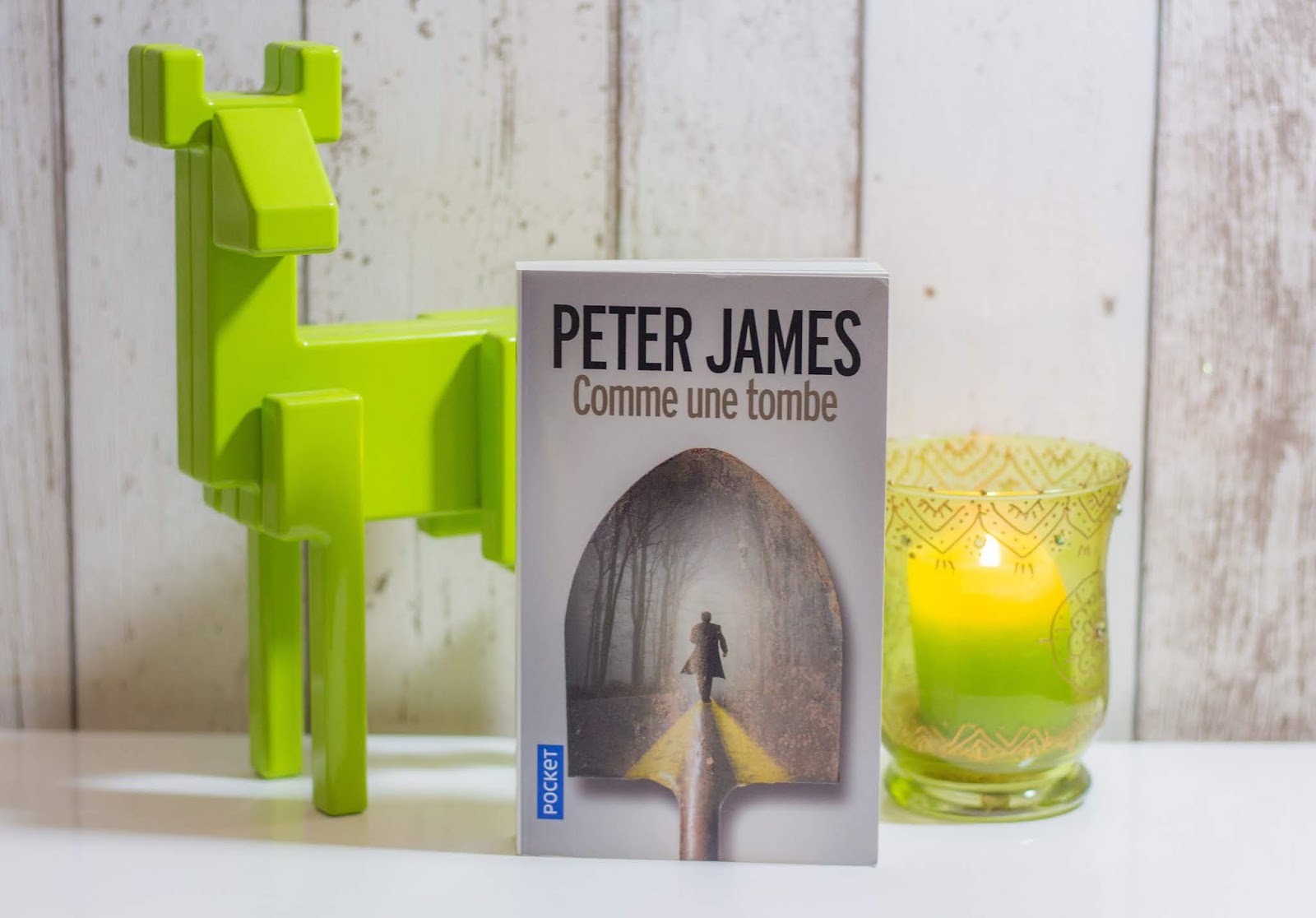 avis-lecture-comme-une-tombe-peter-james