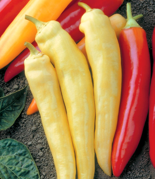 Can U Can It Making Hot Relish & Sweet Pepper Relish