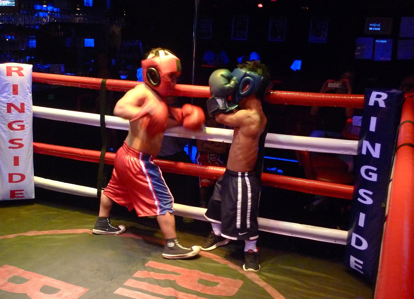 Midget Boxing 14