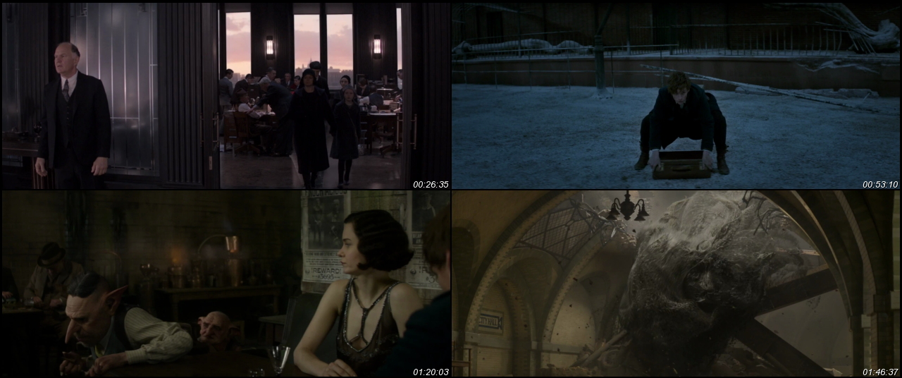 Fantastic Beasts and Where to Find Them 2016