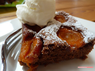 fischiscooking, marillenkuchen, schokolade, wachau fischiscooking, marillenkuchen, schokolade, wachau