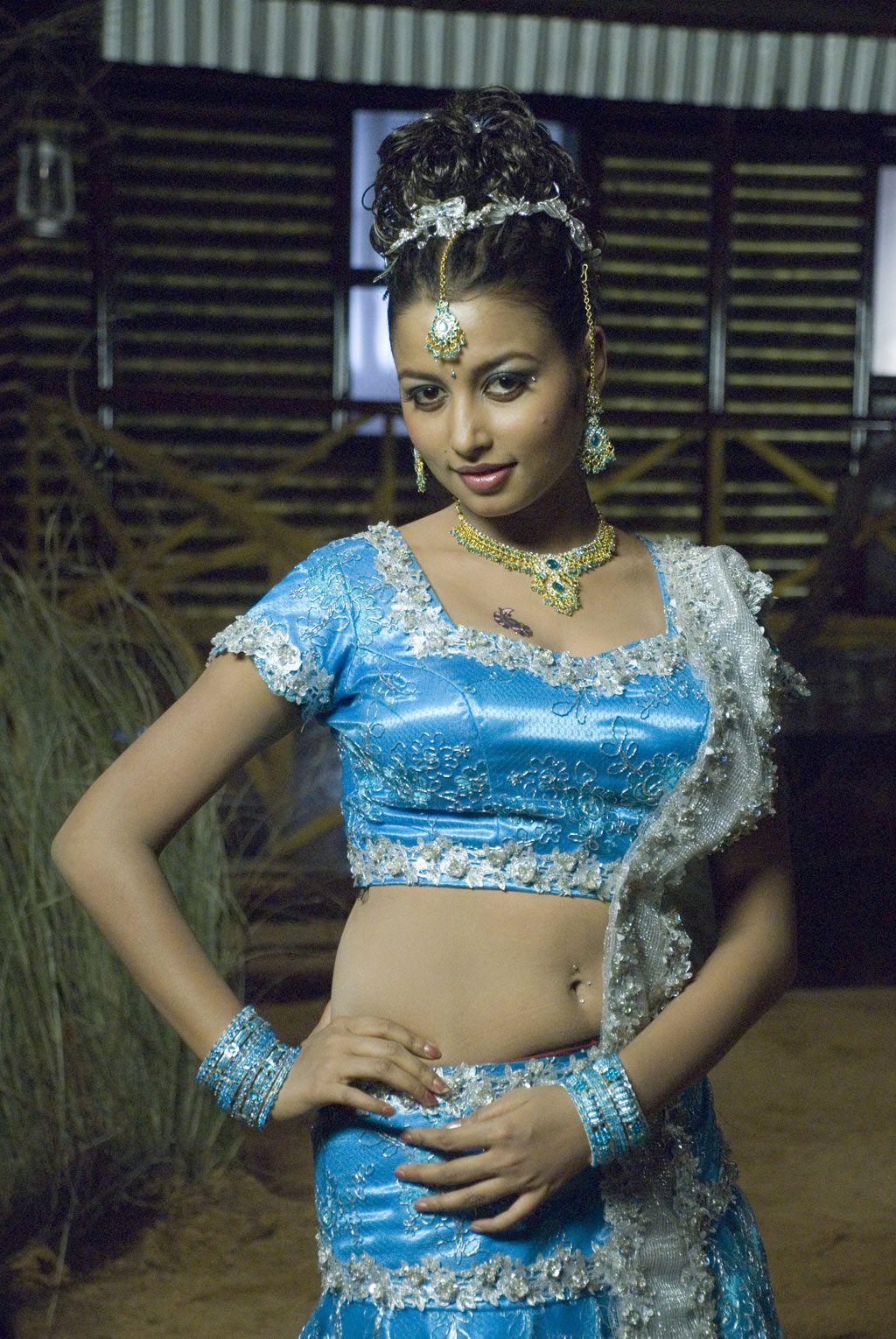 Hot Tamil Actresses Hot Tamil Actress Richa Sinha Blouse