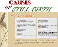 Causes of Still Birth | How to Avoid Still Birth | Preventing Still Birth | Still Birth Solution Causes of Still Birth | How to Avoid Still Birth | Preventing Still Birth | Still Birth Solution