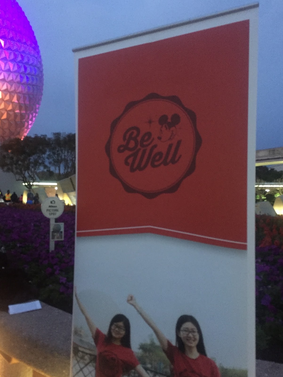 Courtney S Blog Professional Internship Spring 2016 Disney College