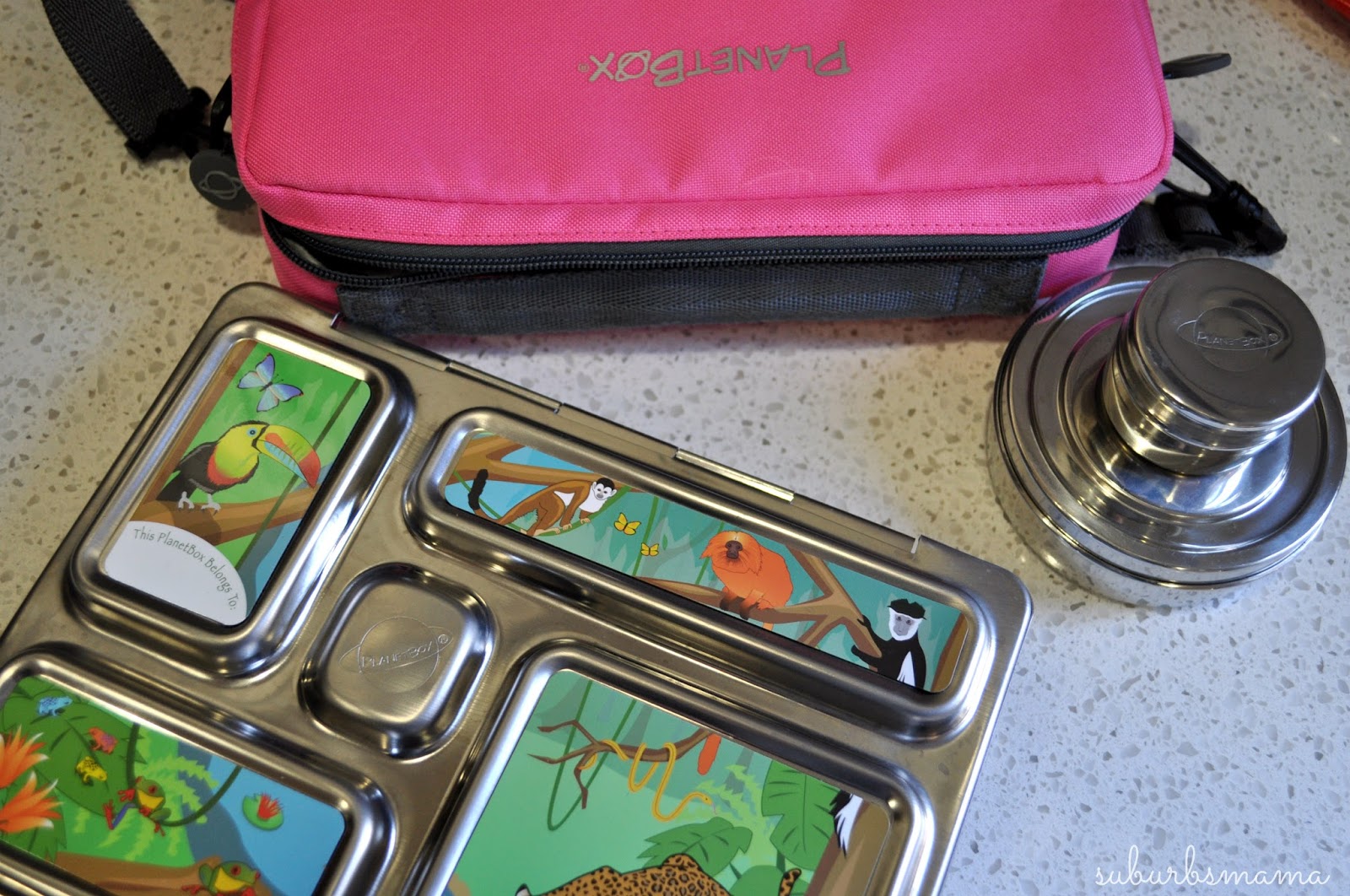 Suburbs Mama: Packing School Lunches -Planet Box Rover Review