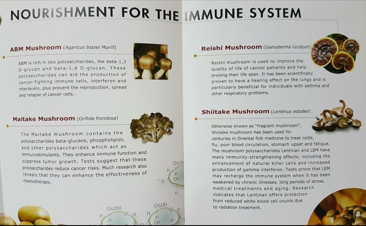 Nutritional Immunology Lifestyle Superfood Mushroom