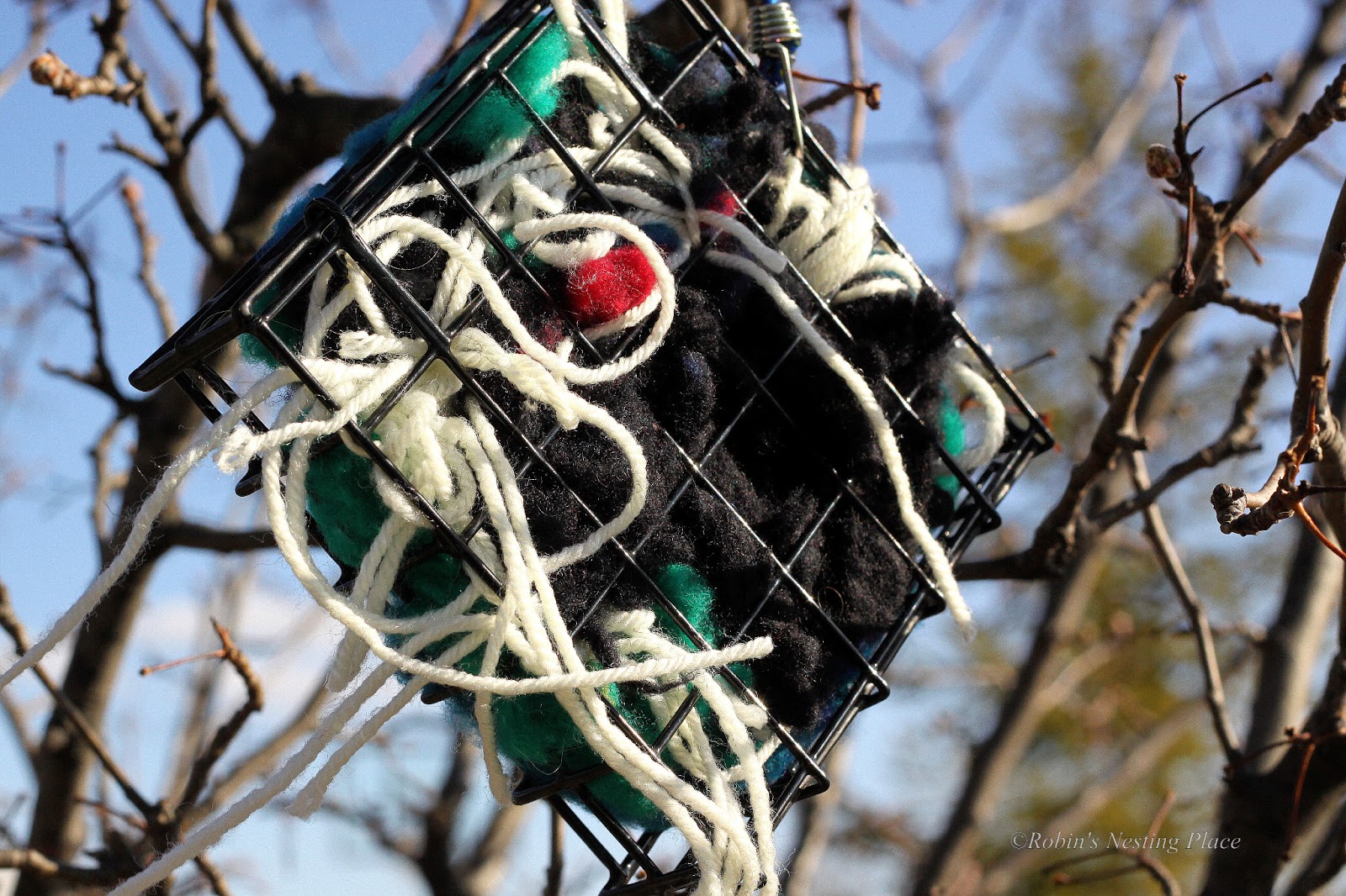 ROBINS NESTING PLACE New Teapot Birdhouse