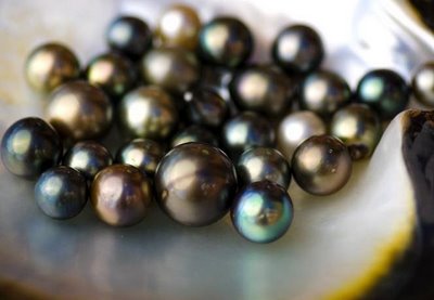 Exotic Places: Black Pearl Jewelry souvenir From bora bora island