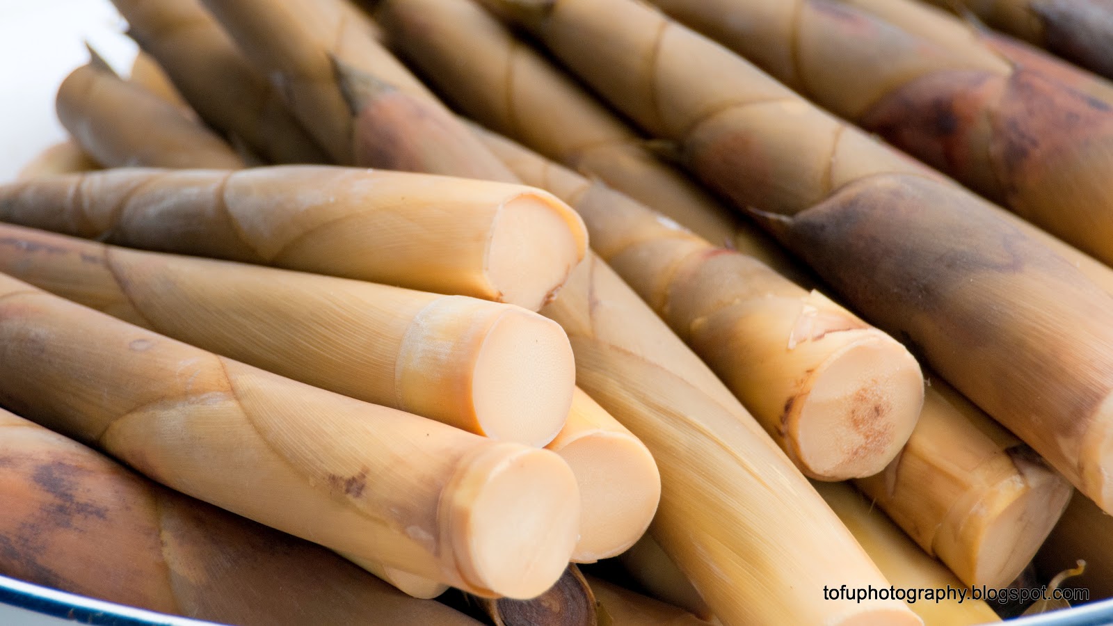 Tofu Photography: Bamboo shoots for sale
