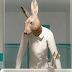 Chaud Lapin, el triángulo amoroso de tres animales