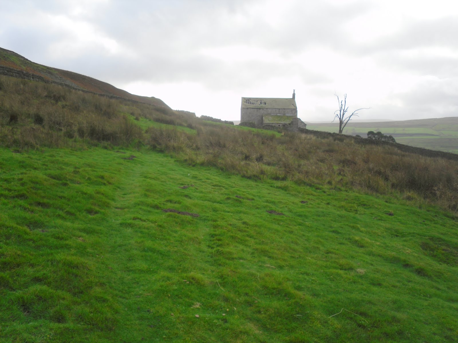 Rambling Nana Stanhope & Wolsingham Park Moor