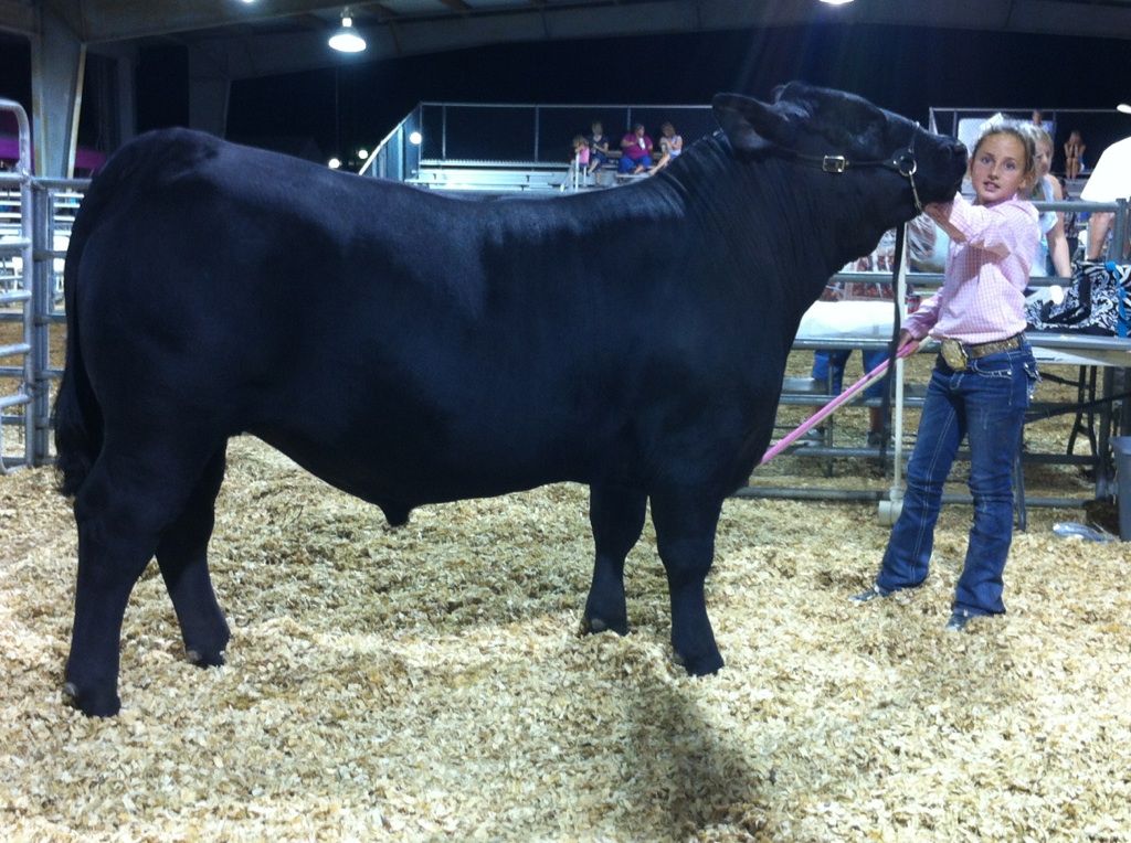 Skinner Cattle Co First Smilin Bob Fat steer Reserve Grand Champion