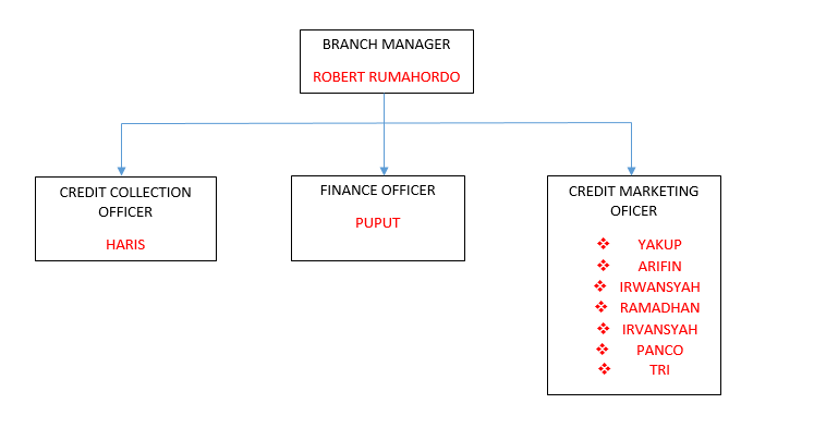 To Warohman's Blog Struktur Organisasi Koperasi