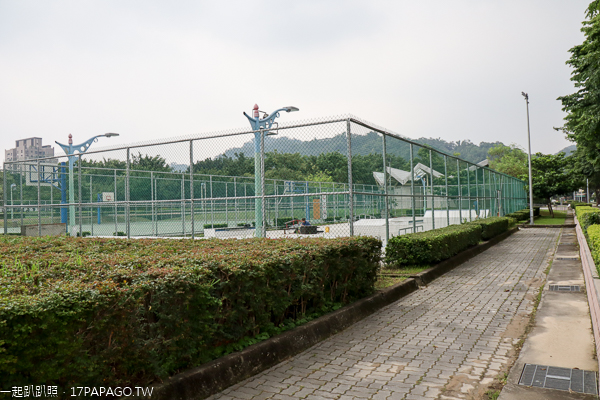 台中北屯|廍子公園|黃花風鈴木|滑板場|巨人腳印公園|綠籬迷宮|生態池|拱橋 台中北屯|廍子公園|黃花風鈴木|滑板場|巨人腳印公園|綠籬迷宮|生態池|拱橋