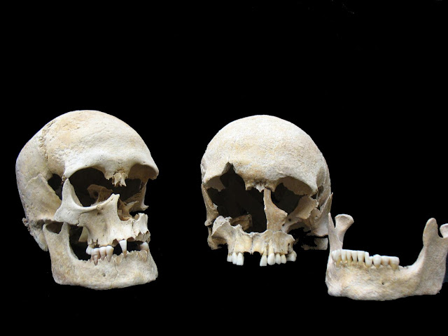 Reconstructing the sixth century plague from a victim Reconstructing the sixth century plague from a victim